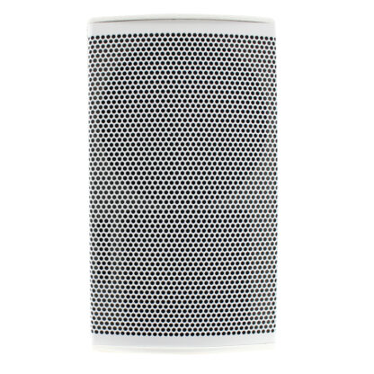 SVT 150W white 150w cabinet speaker