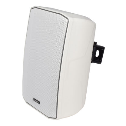 Adastra LX6T-W indoor/outdoor 6½" 30w 100v line or 8Ω wall cabinet speaker