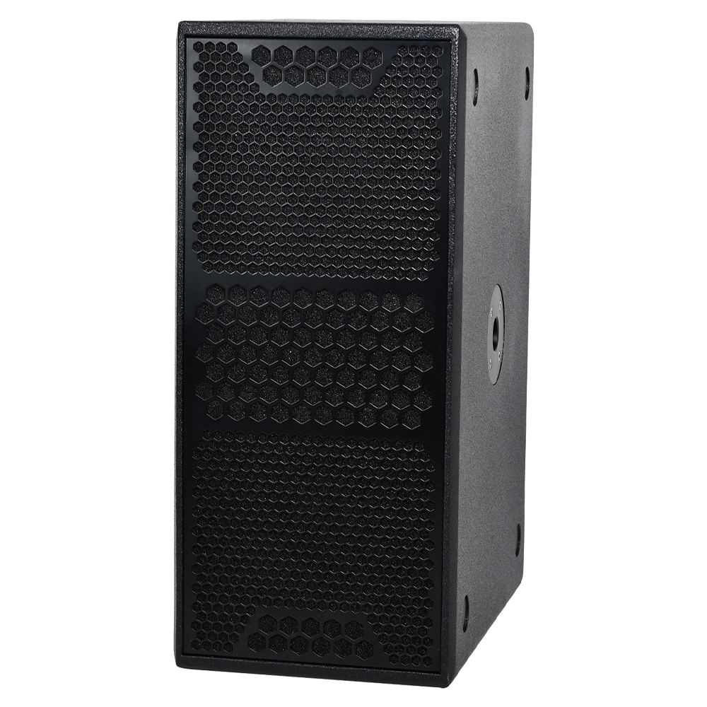 Citronic CASA-210BA 2 x 10" 600W RMS 4 Ω dual active subwoofer