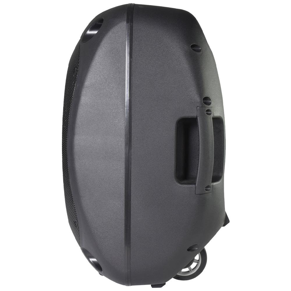 QTX QOVA-12PA 100W 12" portable PA with 2 VHF wireless microphones, media player & Bluetooth